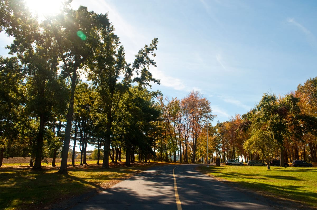Sun shines through the autumn trees around the road surrounding the Hampshire campus.